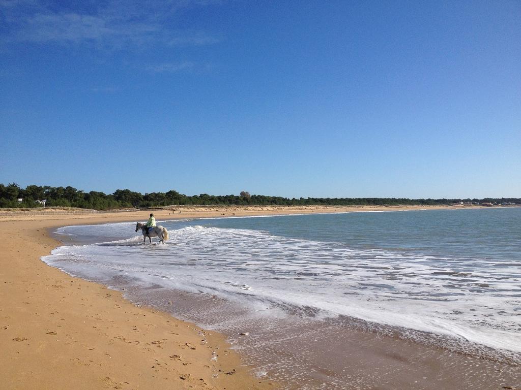 Appartement 43 M2 Front De Mer 3 Cles Vacances La Tranche-sur-Mer Quarto foto